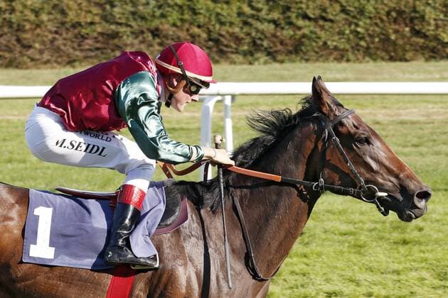Bilder des Jahres 2019, Sport 08 August Sport Bilder des Tages 31.08.2019, Iffezheim, Baden-Wuerttemberg, GER - Amorella mit Martin Seidl gewinnt den T. von Zastrow Stutenpreis. Galopprennbahn Baden-Baden, Iffezheim. (Pferd, Jockey, Amorella, Seidl, Sieg, Ziel, Zielankunft) 190831D536IFFEZHEIM.JPG