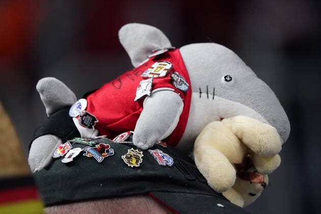Köln, 1. DEL, Saison 2019 2020, Kölner Haie vs Grizzlys Wolfsburg , 25.02.2020, Lanxessarena Köln, Symbolfoto Haie,