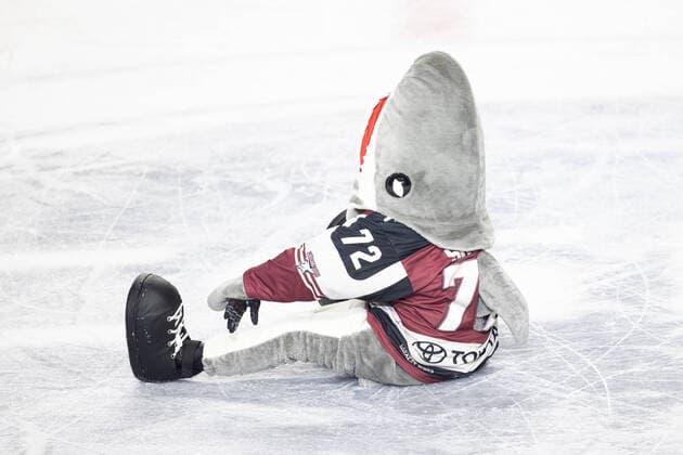 Bilder des Jahres 2021, Sport 03 März Sport Themen der Woche KW13 Bilder des Jahres 2021, Sport 03 März Sport Bilder des Tages PENNY DEL; Koelner Haie - EHC Red Bull Muenchen; Koeln, 31.03.2021 Sharky; PENNY DEL; Koelner Haie - EHC Red Bull Muenchen am 31.03.2021 in der Lanxess Arena in Koeln (Deutschland). Copyright: xBEAUTIFULxSPORTS AndreasxDickx