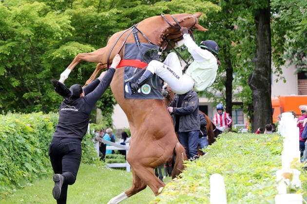 Bilder des Jahres 2021, Sport 05 Mai Sport Themen der Woche KW21 Sport Bilder des Tages 29.05.2021, Dresden, Sachsen, GER - Waldenser steigt mit Sarah Winkeler auf dem Weg zum Gelaeuf. Beide bleiben unverletzt. Galopprennbahn Dresden-Seidnitz. (Pferd, Jockey, Waldenser, Winkeler, steigen, steigt, aufbaeumen, Gefahr, gefaehrlich, Unfallgefahr, Verletzungsgefahr) 210529D505DRESDEN.JPG