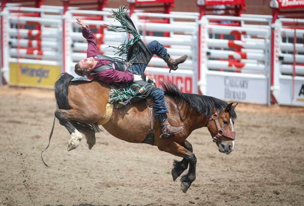 Bilder des Jahres 2021, Sport 07. Juli Sport Themen der Woche KW27 Sport Bilder des Tages July 9, 2021, Calgary, ab, Canada: Dantan Bertsch, of Eastend, Sask., rides Welcome Delivery during rodeo action at the Calgary Stampede in Calgary, Alta., Friday, July 9, 2021. Dantan Bertsch - ZUMAc35_ 20210709_zaf_c35_076 Copyright: xJeffxMcintoshx