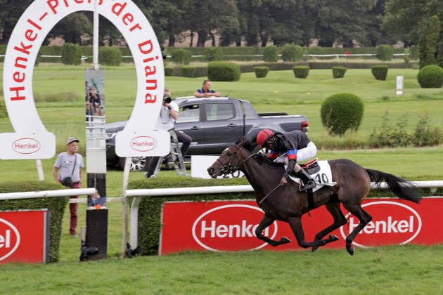 Bilder des Jahres 2021, Sport 08. August Sport Themen der Woche KW30 Sport Bilder des Tages 01.08.2021, Duesseldorf, Nordrhein-Westfalen, GER - Palmas mit Eduardo Pedroza gewinnt den 163. Henkel-Preis der Diana. Galopprennbahn Duesseldorf-Grafenberg. (Pferd, Jockey, Palmas, Pedroza, Sieg, Ziel, Zielankunft) 210801S982DUESSELDORF.JPG
