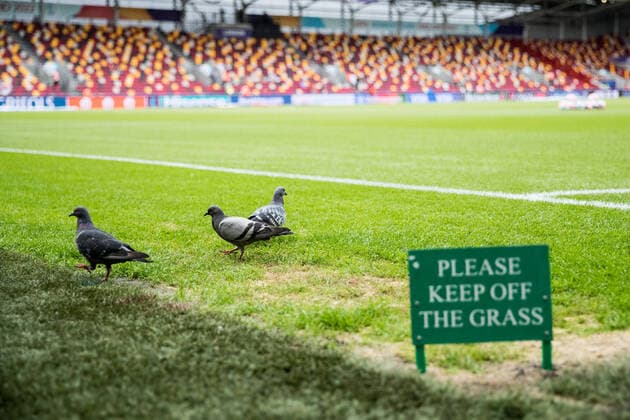 Bilder des Jahres 2022, Sport 07 Juli Sport Bilder des Tages UEFA WOMEN’S EURO ENGLAND 2022: Deutschland - Spanien; 12.07.2022 Tauben picken auf dem Rasen. Davor das Schild: Bitte den Rasen nicht betreten UEFA WOMEN’S EURO ENGLAND 2022: Deutschland - Spanien; Brentford Community Stadium, London, 12.07.2022 Copyright: xBEAUTIFULxSPORTS Wunderlx