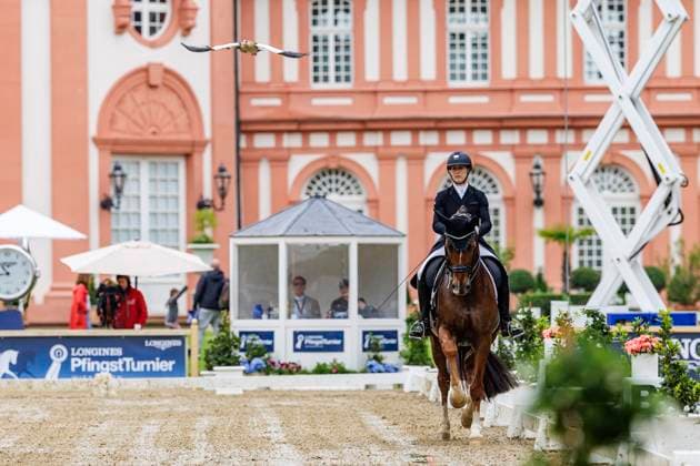 Bilder des Jahres 2024, Sport 05 Mai Sport Themen der Woche KW21 Sport Bilder des Tages WIESBADEN - Pfingstturnier 2024, WIESBADEN - Pfingstturnier 2024 MAYR Angelika (AUT), Frascati 74 DERBY Stars von Morgen CDN - Nat. Dressage competition S