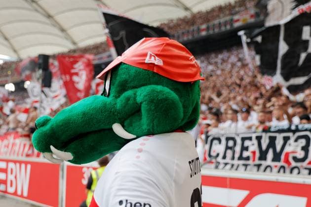 31.08.2024, Deutschland, Stuttgart, Fußball Bundesliga, Saison 2024 2025, VfB Stuttgart vs. 1. FSV Mainz, Fritzle vor der Cannstatter Kurve Gemäß den Vorgaben der DFL Deutsche Fußball Liga ist es untersagt, in dem Stadion und oder vom Spiel angefertigte Fotoaufnahmen in Form von Sequenzbildern und oder videoähnlichen Fotostrecken zu verwerten bzw. verwerten zu lassen.
