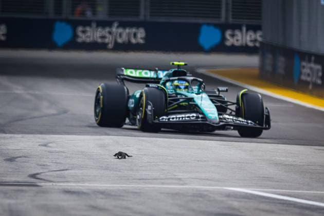 Bilder des Jahres 2024, Sport 09 September Sport Themen der Woche KW38 Sport Bilder des Tages A lizard on the track while FP3 is underway with ALONSO Fernando (spa), Aston Martin F1 Team AMR24, in the background, during the Formula 1 Singapore Grand Prix 2024, 18th round of the 2024 Formula One World Championship, WM, Weltmeisterschaft from September 20 to 22, 2024 on the Marina Bay Circuit, in Singapore, Singapore - F1 - SINGAPORE GRAND PRIX 2024 DPPI Panoramic 240921_R18_SINGAPORE_DP_FGDN7747