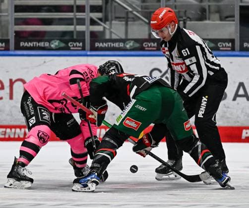 Linesperson Markus Merk fuehrt ein Bully aus zwischen Phil Varone (Grizzlys Wolfsburg, 26) und D.J. Busdeker (Augsburger Panther, 14). GER, Augsburger Panther gegen Grizzlys Wolfsburg, Eishockey, DEL, 7. Spieltag, Saison 2024 2025, 06.10.2024. GER, Augsburger Panther gegen Grizzlys Wolfsburg, Eishockey, DEL, 7. Spieltag, Saison 2024 2025, 06.10.2024. Augsburg Copyright: xEibner-Pressefoto HeikexFeinerx EP_HFR