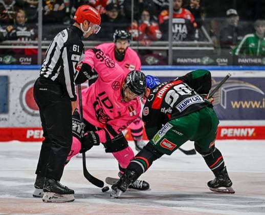Linesperson Markus Merk fuehrt ein Bully aus zwischen Phil Varone (Grizzlys Wolfsburg, 26) und Cody Kunyk (Augsburger Panther, 20). GER, Augsburger Panther gegen Grizzlys Wolfsburg, Eishockey, DEL, 7. Spieltag, Saison 2024 2025, 06.10.2024. GER, Augsburger Panther gegen Grizzlys Wolfsburg, Eishockey, DEL, 7. Spieltag, Saison 2024 2025, 06.10.2024. Augsburg Copyright: xEibner-Pressefoto HeikexFeinerx EP_HFR