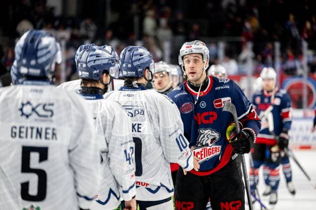 13.10.2024 - Eishockey - Saison 2024 2025 - Penny DEL - Nürnberg Ice Tigers Icetigers - Straubing Tigers - ThHa - xthxhax - Shakehands, Händeschütteln, Michael Clarke (10, Straubing Tigers ) Samuel Dove McFalls (75, Nürnberg Ice Tigers, NIT )