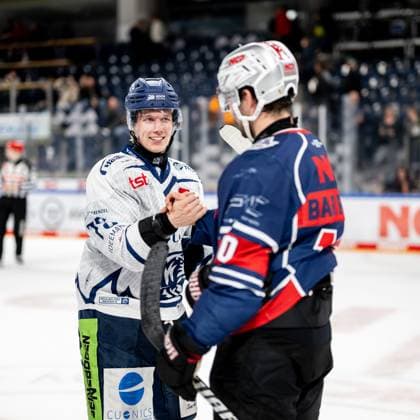 13.10.2024 - Eishockey - Saison 2024 2025 - Penny DEL - Nürnberg Ice Tigers Icetigers - Straubing Tigers - ThHa - xthxhax - Shakehands, Händeschütteln Elis Hede (75, Straubing Tigers ) Evan Barratt (10, Nürnberg Ice Tigers, NIT )