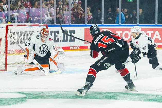 Eishockey Penny-DEL 13.Spieltag Kölner Haie - Grizzlys Wolfsburg am 27.10.2024 in der Lanxess Arena in Köln Hannibal Weitzmann ( Wolfsburg ), links - Louis-Marc Aubry ( Köln ), mitte - Ryan Button ( Wolfsburg ), rechts Gemäß den Vorgaben der DEL Deutsche Eishockey Liga ist die Publikation und Weiterverwertung der Aufnahmen in elektronischen Medien und Endgeräten aller Art während des laufenden Spiels nicht zulässig.