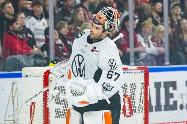 Eishockey Penny-DEL 13.Spieltag Kölner Haie - Grizzlys Wolfsburg am 27.10.2024 in der Lanxess Arena in Köln Hannibal Weitzmann ( Wolfsburg ) Gemäß den Vorgaben der DEL Deutsche Eishockey Liga ist die Publikation und Weiterverwertung der Aufnahmen in elektronischen Medien und Endgeräten aller Art während des laufenden Spiels nicht zulässig.