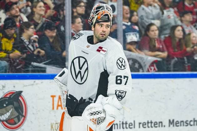 Eishockey Penny-DEL 13.Spieltag Kölner Haie - Grizzlys Wolfsburg am 27.10.2024 in der Lanxess Arena in Köln Hannibal Weitzmann ( Wolfsburg ) Gemäß den Vorgaben der DEL Deutsche Eishockey Liga ist die Publikation und Weiterverwertung der Aufnahmen in elektronischen Medien und Endgeräten aller Art während des laufenden Spiels nicht zulässig.