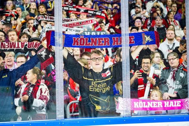 Eishockey Penny-DEL 13.Spieltag Kölner Haie - Grizzlys Wolfsburg am 27.10.2024 in der Lanxess Arena in Köln Die Kölner Fans feiern den Sieg mit der Mannschaft Gemäß den Vorgaben der DEL Deutsche Eishockey Liga ist die Publikation und Weiterverwertung der Aufnahmen in elektronischen Medien und Endgeräten aller Art während des laufenden Spiels nicht zulässig.
