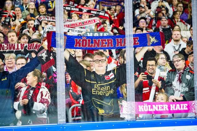 Eishockey Penny-DEL 13.Spieltag Kölner Haie - Grizzlys Wolfsburg am 27.10.2024 in der Lanxess Arena in Köln Die Kölner Fans feiern den Sieg mit der Mannschaft Gemäß den Vorgaben der DEL Deutsche Eishockey Liga ist die Publikation und Weiterverwertung der Aufnahmen in elektronischen Medien und Endgeräten aller Art während des laufenden Spiels nicht zulässig.