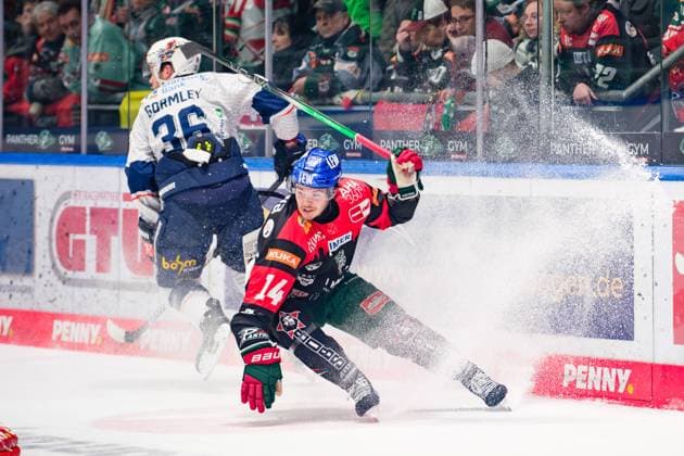 Bilder des Jahres 2024, Sport 11 November Sport Themen der Woche KW46 Sport Bilder des Tages Donald Busdeker (14, Augsburger Panther) im Hintergrund, Brandon Gormley (36, Iserlohn Roosters) beim Spiel Augsburger Panther v Iserlohn Roosters, Eishockey, Herren, Penny DEL 2024 2025, 17.Spieltag am 17.11.2024 in Augsburg, Curt-Frenzel-Stadion. Bayern Deutschland