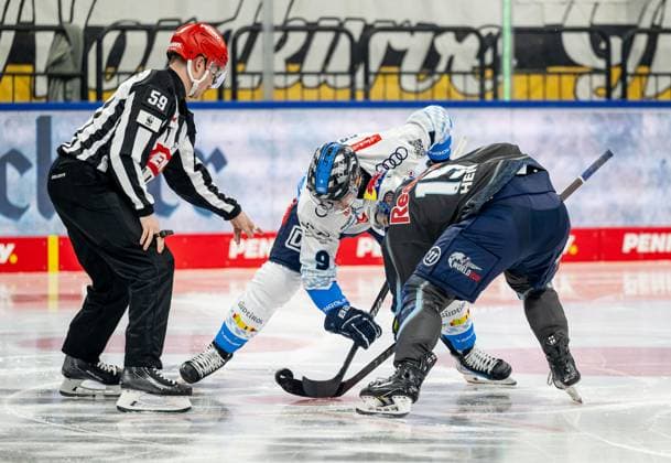Linesperson Jonas Reinold fuehrt ein Bully aus zwischen Myles Powell (ERC Ingolstadt Panther, 9) und Nikolaus Heigl (EHC Red Bull Muenchen, 15). GER, EHC Red Bull Muenchen vs. ERC Ingolstadt, Eishockey, DEL, 24. Spieltag, Saison 2024 2025, 08.12.2024. GER, EHC Red Bull Muenchen vs. ERC Ingolstadt, Eishockey, DEL, 24. Spieltag, Saison 2024 2025, 08.12.2024. Muenchen Copyright: xEibner-Pressefoto HeikexFeinerx EP_HFR
