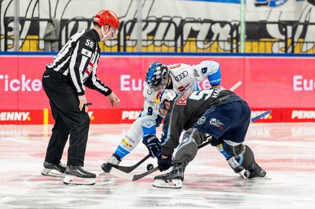 Linesperson Jonas Reinold fuehrt ein Bully Faceoff aus zwischen Myles Powell (ERC Ingolstadt Panther, 9) und Patrick Hager (EHC Red Bull Muenchen, 52). GER, EHC Red Bull Muenchen vs. ERC Ingolstadt, Eishockey, DEL, 24. Spieltag, Saison 2024 2025, 08.12.2024. GER, EHC Red Bull Muenchen vs. ERC Ingolstadt, Eishockey, DEL, 24. Spieltag, Saison 2024 2025, 08.12.2024. Muenchen Copyright: xEibner-Pressefoto HeikexFeinerx EP_HFR