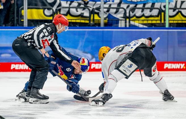 Linesperson Markus Merk fuehrt ein Bully Faceoff aus zwischen Patrick Hager (EHC Red Bull Muenchen, 52) und Miha Verlic (Fischtown Pinguins Bremerhaven, 91). GER, EHC Red Bull Muenchen vs. Fischtown Pinguins Bremerhaven, Eishockey, DEL, 35. Spieltag, Saison 2024 2025, 10.01.2025. GER, EHC Red Bull Muenchen vs. Fischtown Pinguins Bremerhaven, Eishockey, DEL, 35. Spieltag, Saison 2024 2025, 10.01.2025. Muenchen Copyright: xEibner-Pressefoto HeikexFeinerx EP_HFR