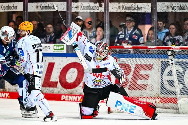 Kristers Gudlevskis (Fischtown Pinguins Bremerhaven, 30) hält den Puck, GER, Iserlohn Roosters vs. Fischtown Pinguins Bremerhaven, Eishockey, Penny-DEL, 48. Spieltag, Spielzeit 2024 2025, 23.02.2025, GER, Iserlohn Roosters vs. Fischtown Pinguins Bremerhaven, Eishockey, Penny-DEL, 48. Spieltag, Spielzeit 2024 2025, 23.02.2025 Iserlohn Copyright: xJonasxBrockmann Eibner-Pressefotx EP_JBN