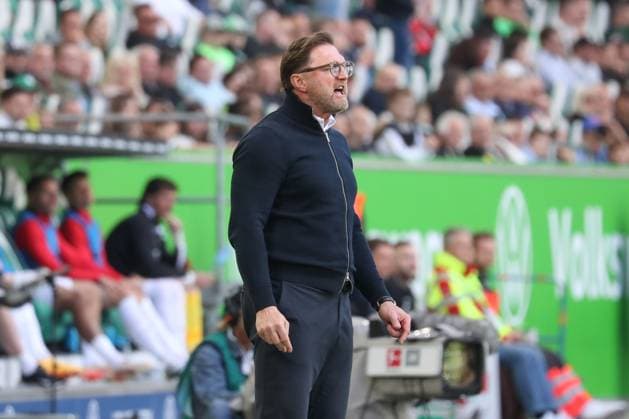 26.04.2025, xgox, Fussball 1.Bundesliga, VfL Wolfsburg - SC Freiburg emspor, v.l. Ralph Hasenhuettl (Hasenhüttl, Wolfsburg, Trainer) gibt Anweisungen, gestikuliert mit den Armen, gesticulate, gives instructions (DFL DFB REGULATIONS PROHIBIT ANY USE OF PHOTOGRAPHS as IMAGE SEQUENCES and or QUASI-VIDEO) Wolfsburg