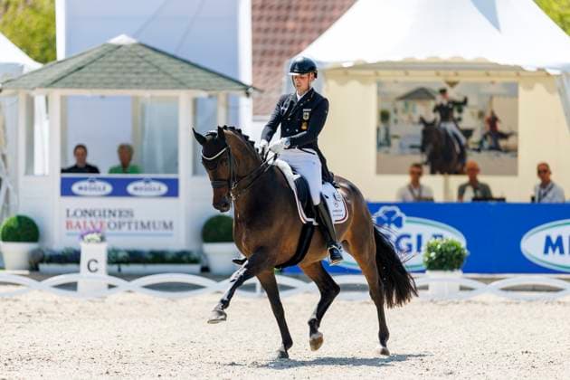 BALVE - LONGINES Balve Optimum 2025, BALVE - LONGINES Balve Optimum 2025 WANDRES Frederic (GER), Bluetooth OLD Grand Prix de Dressage - Qualifikationsprüfung DressurpruÌˆfung Kl. S