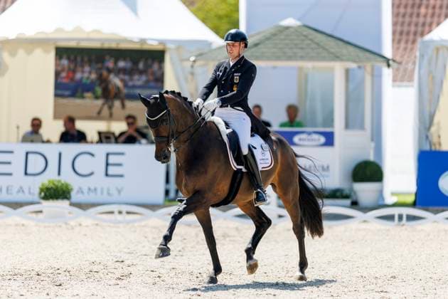 BALVE - LONGINES Balve Optimum 2025, BALVE - LONGINES Balve Optimum 2025 WANDRES Frederic (GER), Bluetooth OLD Grand Prix de Dressage - Qualifikationsprüfung DressurpruÌˆfung Kl. S