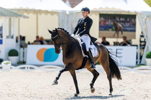 BALVE - LONGINES Balve Optimum 2025, BALVE - LONGINES Balve Optimum 2025 WANDRES Frederic (GER), Bluetooth OLD Grand Prix de Dressage - Qualifikationsprüfung DressurpruÌˆfung Kl. S