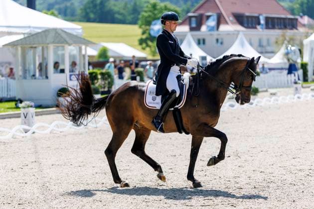 BALVE - LONGINES Balve Optimum 2025, BALVE - LONGINES Balve Optimum 2025 WANDRES Frederic (GER), Bluetooth OLD Grand Prix de Dressage - Qualifikationsprüfung DressurpruÌˆfung Kl. S