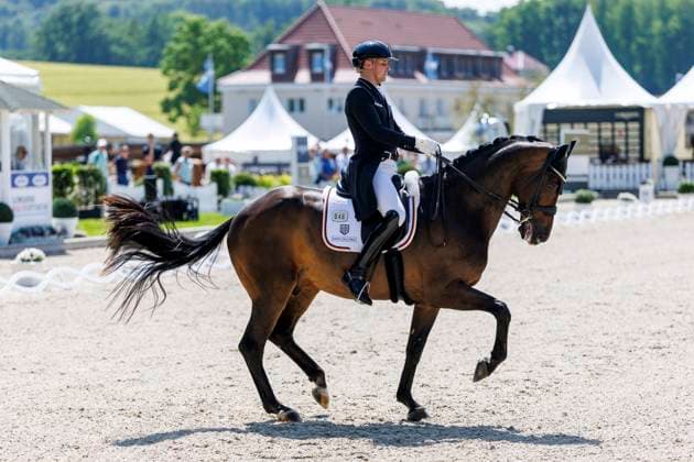 BALVE - LONGINES Balve Optimum 2025, BALVE - LONGINES Balve Optimum 2025 WANDRES Frederic (GER), Bluetooth OLD Grand Prix de Dressage - Qualifikationsprüfung DressurpruÌˆfung Kl. S