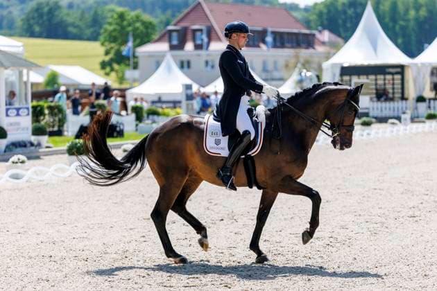 BALVE - LONGINES Balve Optimum 2025, BALVE - LONGINES Balve Optimum 2025 WANDRES Frederic (GER), Bluetooth OLD Grand Prix de Dressage - Qualifikationsprüfung DressurpruÌˆfung Kl. S