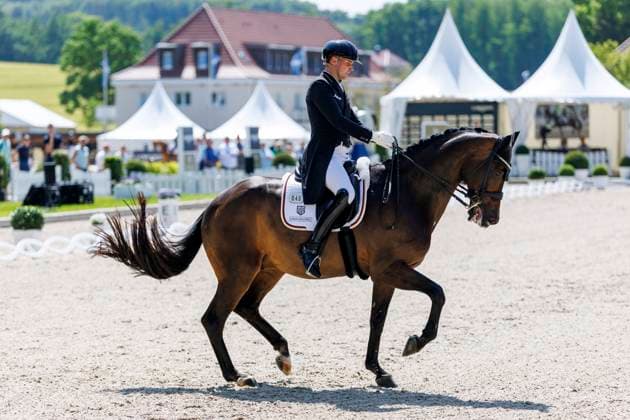 BALVE - LONGINES Balve Optimum 2025, BALVE - LONGINES Balve Optimum 2025 WANDRES Frederic (GER), Bluetooth OLD Grand Prix de Dressage - Qualifikationsprüfung DressurpruÌˆfung Kl. S
