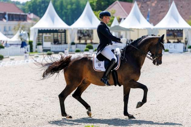 BALVE - LONGINES Balve Optimum 2025, BALVE - LONGINES Balve Optimum 2025 WANDRES Frederic (GER), Bluetooth OLD Grand Prix de Dressage - Qualifikationsprüfung DressurpruÌˆfung Kl. S