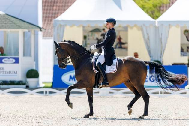BALVE - LONGINES Balve Optimum 2025, BALVE - LONGINES Balve Optimum 2025 WANDRES Frederic (GER), Bluetooth OLD Grand Prix de Dressage - Qualifikationsprüfung DressurpruÌˆfung Kl. S