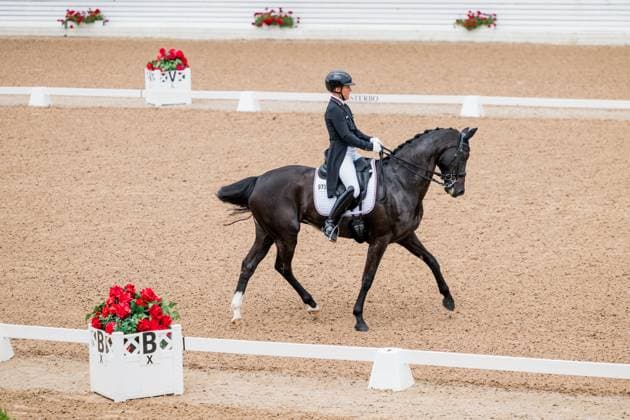 250712 Svenja Kämper-Meyer of Germany with horse Amanyara M Frh competes in FEI Dressage Nations Cup Grand Prix during Falsterbo Horse Show on July 12, 2025 in Falsterbo. Photo: Petter Arvidson BILDBYRAN kod PA PA1057 ridsport equestrian falsterbo horse show bbeng falsterbo dressyr Copyright: PETTERxARVIDSON BB250712PA046