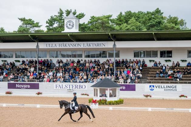 250712 Svenja Kämper-Meyer of Germany with horse Amanyara M Frh competes in FEI Dressage Nations Cup Grand Prix during Falsterbo Horse Show on July 12, 2025 in Falsterbo. Photo: Petter Arvidson BILDBYRAN kod PA PA1057 ridsport equestrian falsterbo horse show bbeng falsterbo dressyr Copyright: PETTERxARVIDSON BB250712PA047