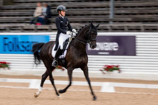 250713 Svenja Kämper-Meyer of Germany with horse Amanyara M Frh competes in FEI Dressage Nations Cup Grand Prix Special during Falsterbo Horse Show on July 13, 2025 in Falsterbo. Photo: Petter Arvidson BILDBYRAN kod PA PA1058 ridsport equestrian falsterbo horse show bbeng falsterbo dressyr Copyright: PETTERxARVIDSON BB250713PA003