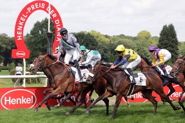 03.08.2025, Duesseldorf, Nordrhein-Westfalen, GER - Nicoreni mit Leon Wolff gewinnt den 167. Preis der Diana. Galopprennbahn Duesseldorf-Grafenberg. (Pferd, Jockey, Nicoreni, Wolff, Sieg, Ziel, Zielankunft) 250803SG991DUESSELDORF.JPG