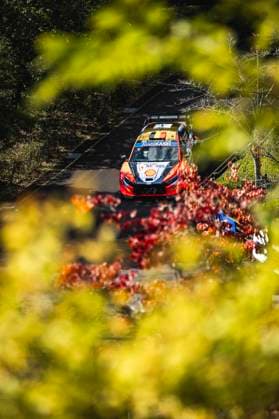 AUTO - WRC, Motorsport Rallye, WM - RALLY JAPAN 2025 01 Thierry NEUVILLE, Martijn WYDAEGHE, Hyundai I20 Rally1, action during the 2025 Rally Japan, 13th round of the 2025 WRC World Rally Car Championship, from November 6 to 9, 2025 at Toyota, Aichi, Japan - ToyotaJapan  Copyright: xNikosxKatikisx