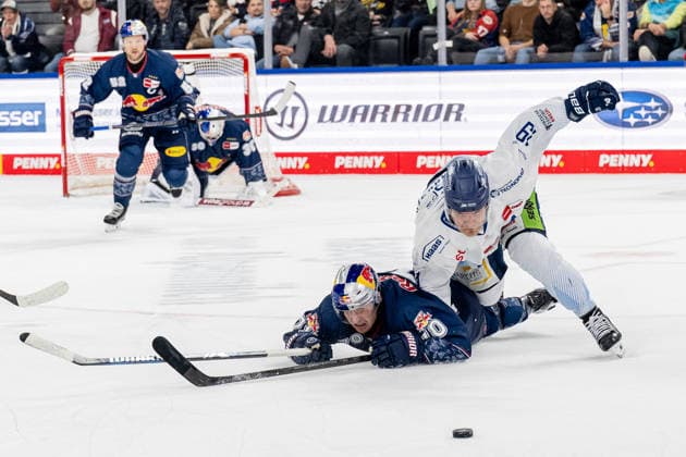 Kampf um den Puck Zweikampf zwischen Maximilian Daubner (EHC Red Bull Muenchen, 70) und Tim Brunnhuber (Straubing Tigers, 19) GER, EHC Red Bull Muenchen vs. Straubing Tigers, Eishockey, DEL, 22. Spieltag, Saison 2025 2026, 25.11.2025. GER, EHC Red Bull Muenchen vs. Straubing Tigers, Eishockey, DEL, 22. Spieltag, Saison 2025 2026, 25.11.2025. Muenchen Copyright: xEibner-Pressefoto HeikexFeinerx EP_HFR