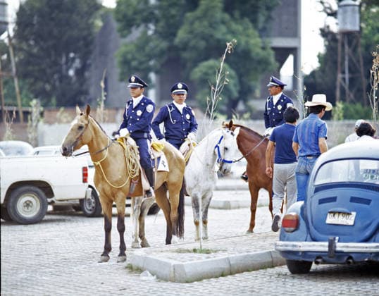 03.06.86 Belgien - Mexiko Mexiko, Mexiko-Stadt, 03.06.1986, Fussball, FIFA WM 1986 in Mexiko, Belgien - Mexiko (1:2): Polizei auf Pferden.