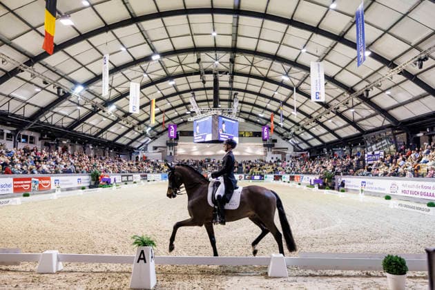 NEUMUENSTER - VR Classics 2026 Jubiläumsturnier 75 Jahre, NEUMUENSTER - VR Classics 2026 Jubiläumsturnier 75 Jahre NETZ Raphael (GER), Great Escape Camelot CDI-W FEI Grand Prix de Dressage Dressurprüfung Kl. S