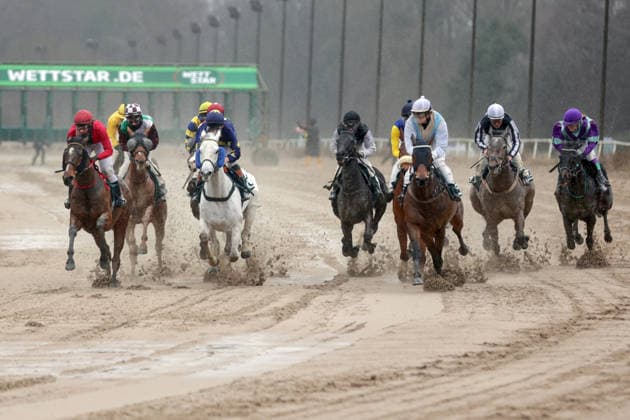 22.02.2026, Dortmund, Nordrhein-Westfalen, GER - Pferde und Jockeys im Rennen. Galopprennbahn Dortmund-Wambel. (Pferde, Jockeys, Sand, Sandbahn, Sandbahnrennen, Dirt, Dirttrack, Galopp, Galopprennsport, Pferderennsport, Pferderennen, Galopprennen, Doppelseite) 260222SG919DORTMUND.JPG