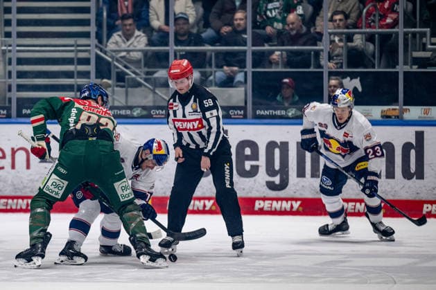 Linesperson Jonas Reinold fuehrt ein Bully Faceoff aus zwischen Alexandre Grenier (Augsburger Panther, 82) und Brady Ferguson (EHC Red Bull Muenchen, 12), rechts Alberts Smits (EHC Red Bull Muenchen, 23) GER, Augsburger Panther vs. EHC Red Bull Muenchen, Eishockey, DEL, 46. Spieltag, Saison 2025 2026, 27.02.2026. GER, Augsburger Panther vs. EHC Red Bull Muenchen, Eishockey, DEL, 46. Spieltag, Saison 2025 2026, 27.02.2026. Augsburg Copyright: xEibner-Pressefoto HeikexFeinerx EP_HFR