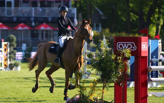 15.05.2026, xcex, GER, Hamburg, Jenischpark, Derby Park Klein Flottbek, AL SHIRA AA Deutsches Spring- und Dressur-Derby Hamburg, CWD Amateur-Tour - CSIAm, Delani Diekmeier (GER) mit Delvaro Deluxe