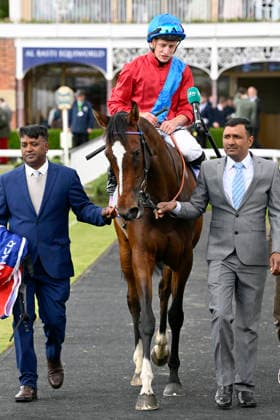 15.05.2026, York, North Yorkshire, GBR - Lilt with Tom Marquand up after winning the Michael Seely Fillies Stakes. York racecourse. (Pferd, Jockey, Lilt, Marquand, Sieg) 260515C978YORK.JPG