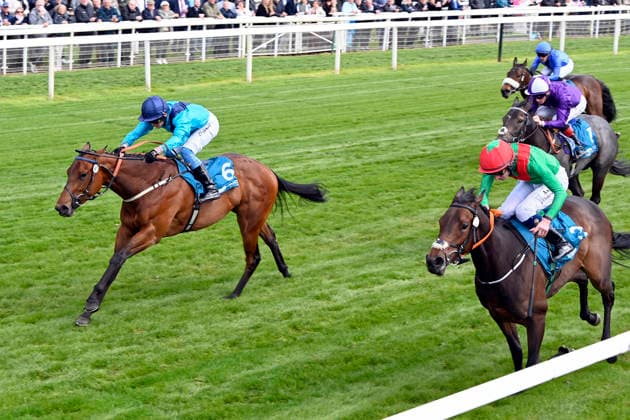 15.05.2026, York, North Yorkshire, GBR - Love a Giggle with Clifford Lee up wins the Marygate Fillies Stakes. York racecourse. (Pferd, Jockey, Love a Giggle, Lee, Sieg, Ziel, Zielankunft) 260515C982YORK.JPG