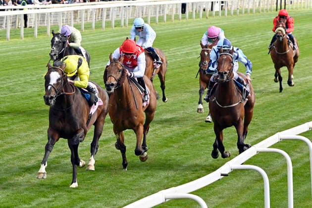 15.05.2026, York, North Yorkshire, GBR - Rahiebb with Ray Dawson up wins the Yorkshire Cup. York racecourse. (Pferd, Jockey, Rahiebb, Dawson, Sieg, Ziel, Zielankunft) 260515C991YORK.JPG