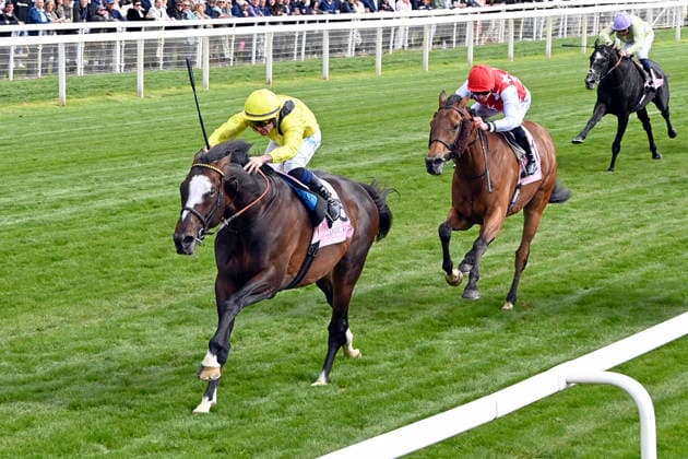 15.05.2026, York, North Yorkshire, GBR - Rahiebb with Ray Dawson up wins the Yorkshire Cup. York racecourse. (Pferd, Jockey, Rahiebb, Dawson, Sieg, Ziel, Zielankunft) 260515C992YORK.JPG