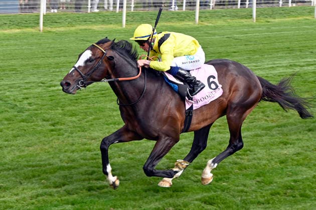 15.05.2026, York, North Yorkshire, GBR - Rahiebb with Ray Dawson up wins the Yorkshire Cup. York racecourse. (Pferd, Jockey, Rahiebb, Dawson, Sieg, Ziel, Zielankunft) 260515C993YORK.JPG